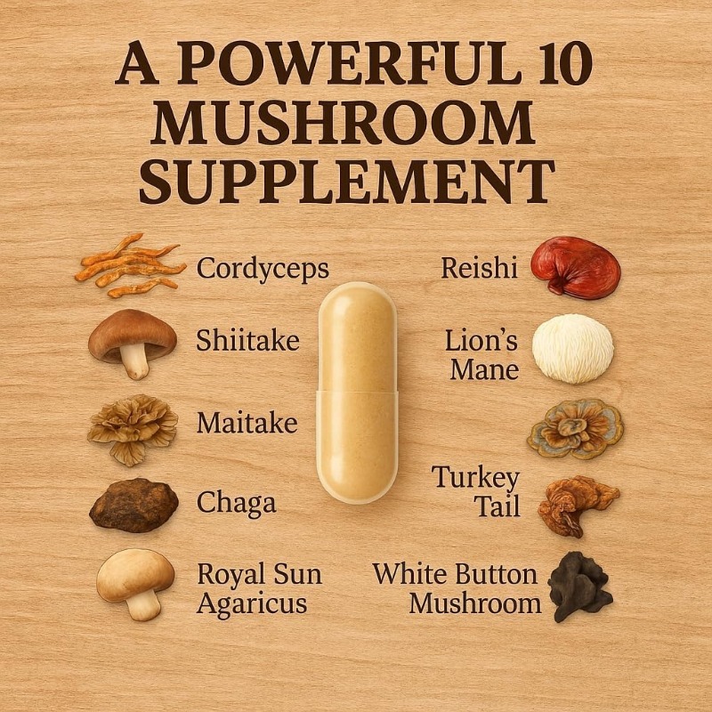 버섯 복합 보충제 10 in 1, 노루궁뎅이버섯, 동충 - Lion Mane Mushroom 리뷰 및 가격