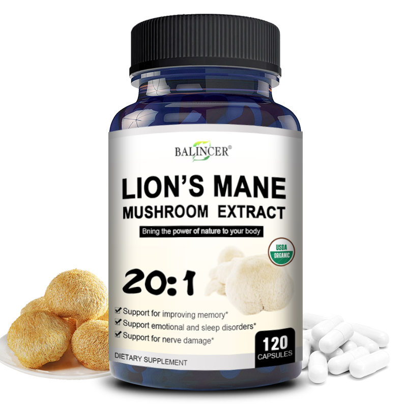 사자 갈기 - 두뇌 기억력 향상 및 면역력 강화, 스트 - Lion Mane Mushroom 리뷰 및 가격