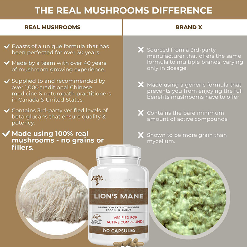 사자갈기버섯 캡슐은 면역력을 강화하고, 수면의 질을 향 - Lion Mane Mushroom 리뷰 및 가격